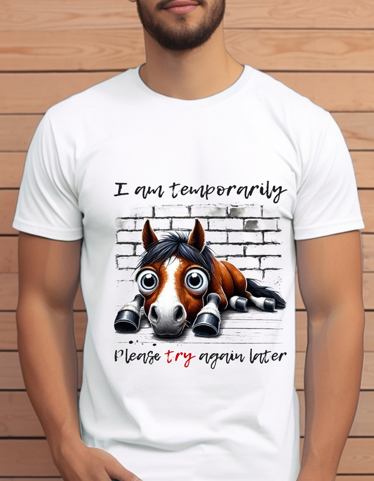 I am temporarily Funny T-Shirt Men/Women