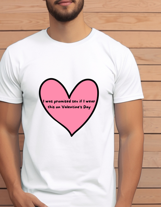 I was promised sex Valentine's Day T-Shirt Women/Men